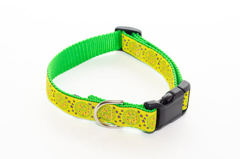 NOLA Gold and Green Water Meter Dog Collar 21" - Pelican Coast Clothing