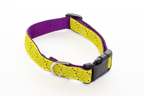 NOLA Gold and Purple Water Meter Dog Collar 21" - Pelican Coast Clothing