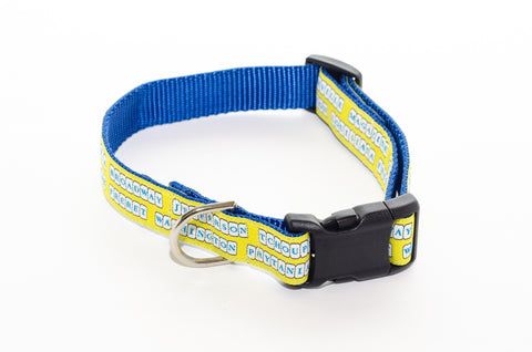 NOLA Street Tiles Yellow and Royal Blue Dog Collar 21" - Pelican Coast Clothing