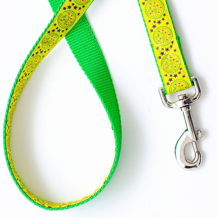 NOLA Gold and Green Water Meter Cover Dog Leash - Pelican Coast Clothing