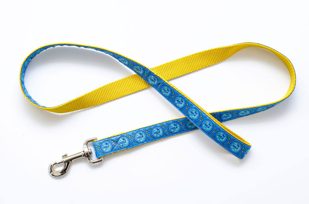 NOLA Sky Blue and Gold Water Meter Dog Leash - Pelican Coast Clothing